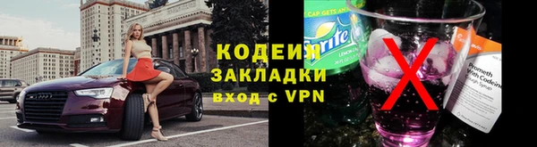 круглые Гусев