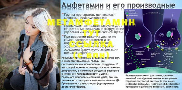 круглые Гусев