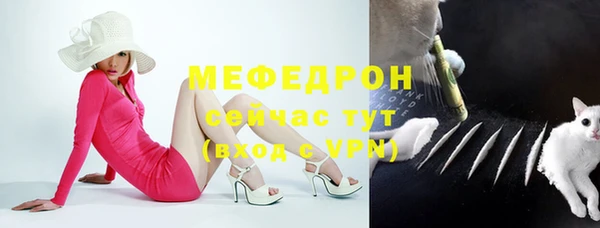 круглые Гусев