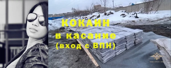 круглые Гусев
