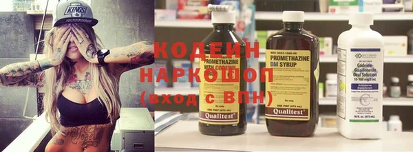 круглые Гусев