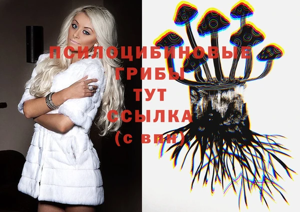 эйфоретик Гусиноозёрск
