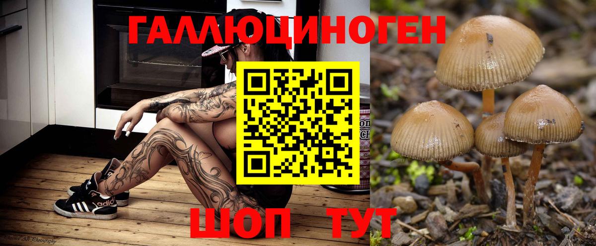Галлюциногенные грибы Psilocybine cubensis  Вход с VPN  Керчь 